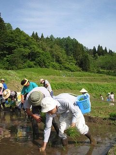 IMG_1126.jpg