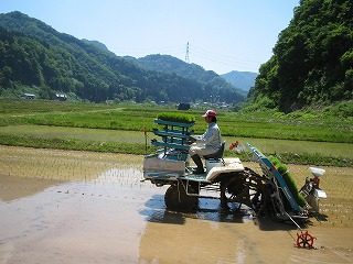 IMG_1133.jpg