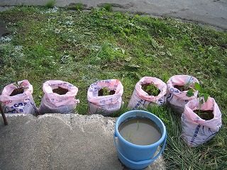 IMG_1142.jpg