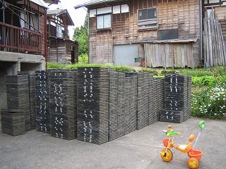 IMG_1144.jpg