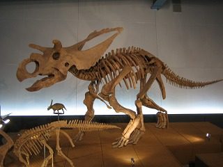 IMG_1176.jpg