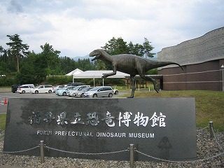 IMG_1178.jpg