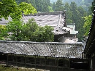 IMG_1181.jpg