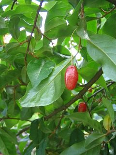 IMG_1185.jpg