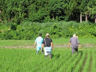 IMG_1199.jpg