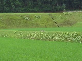 IMG_1206.jpg