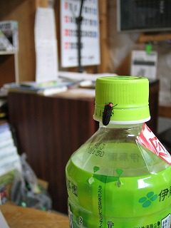 IMG_1209.jpg