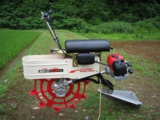 IMG_1211.jpg