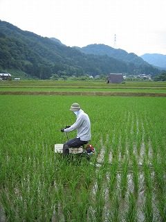 IMG_1214.jpg