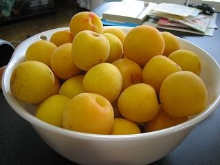 IMG_1217.jpg