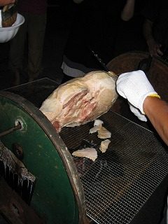 IMG_1221.jpg