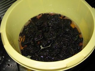 IMG_1225.jpg