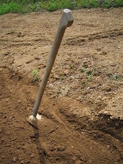 IMG_1228.jpg