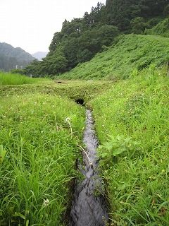 IMG_1230.jpg