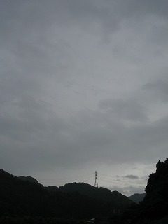 IMG_1231.jpg