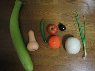 IMG_1238.jpg