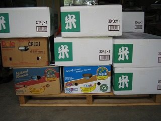 IMG_1246.jpg