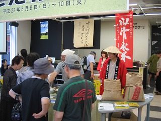IMG_1255.jpg