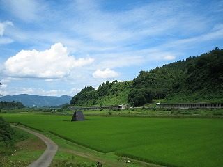 IMG_1259.jpg