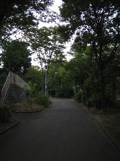 IMG_1262.jpg