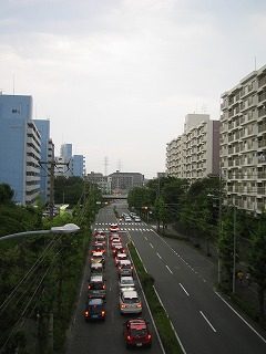 IMG_1265.jpg
