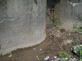 IMG_1270.jpg