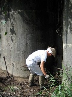 IMG_1272.jpg