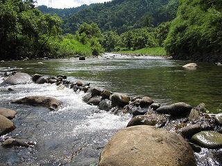IMG_1276.jpg