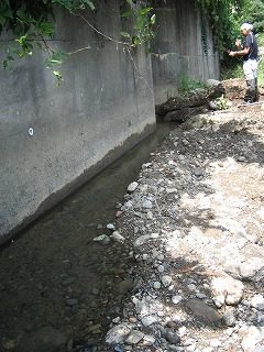 IMG_1277.jpg