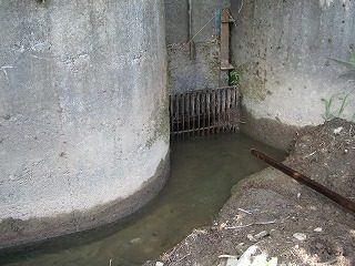 IMG_1278.jpg
