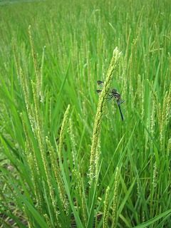 IMG_1282.jpg