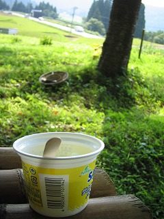 IMG_1291.jpg