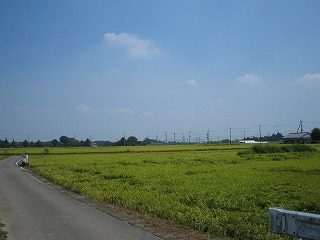 IMG_1316.jpg