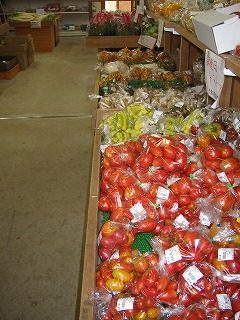 IMG_1354.jpg