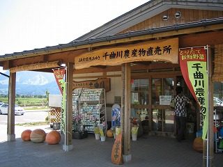 IMG_1355.jpg