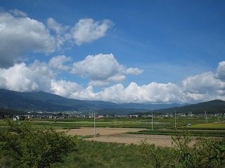IMG_1357.jpg