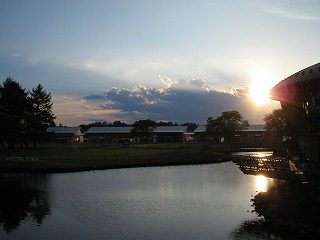 IMG_1358.jpg