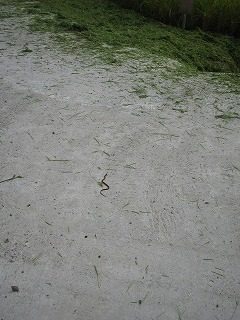 IMG_1359.jpg