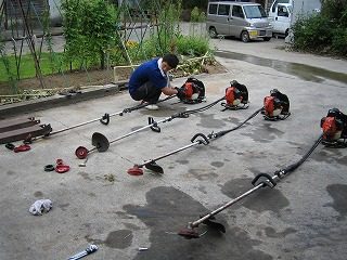 IMG_1381.jpg