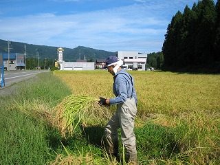 IMG_1384.jpg