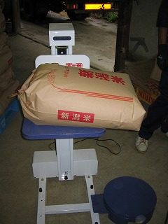IMG_1390.jpg