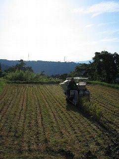 IMG_1395.jpg