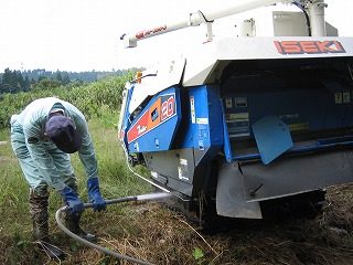 IMG_1398.jpg