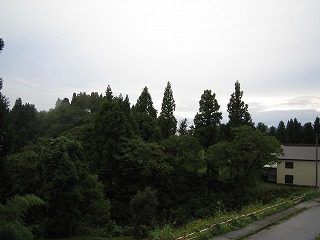 IMG_1409.jpg