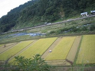 IMG_1428.jpg