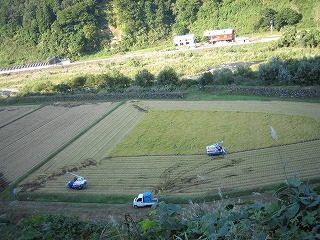 IMG_1603.jpg
