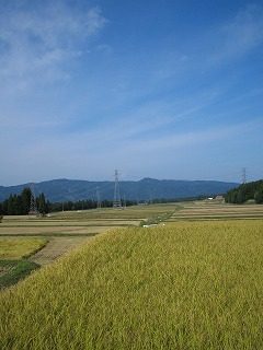 IMG_1628.jpg