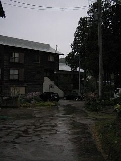 IMG_1632.jpg
