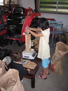IMG_1633.jpg