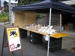 IMG_1642.jpg
